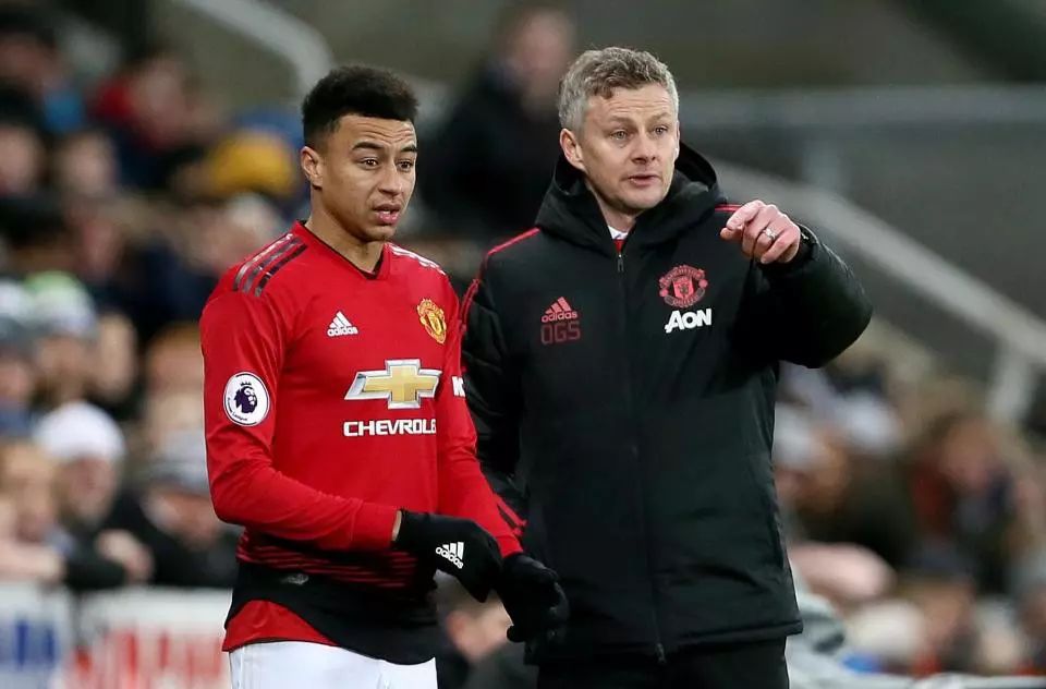 展示了顶级 展示了顶级