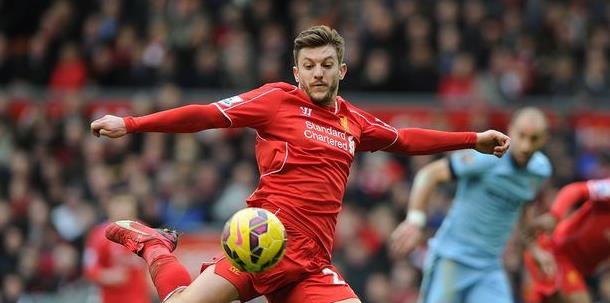 不仅仅是因 不仅仅是因